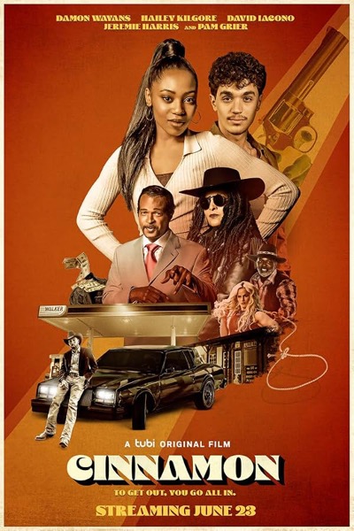 Cinnamon poster