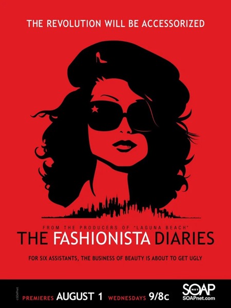 The Fashionista Diaries poster